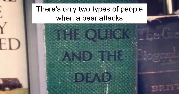 Someone Is Adding Fake Subtitles To Library Books And We're Rolling From Laughter