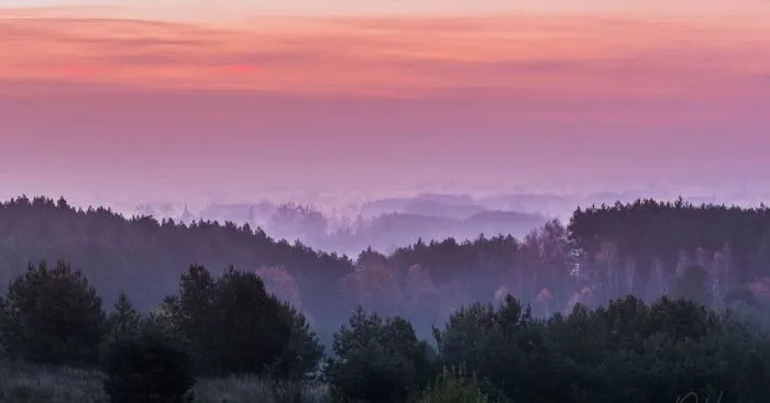 I Have Been Photographed My Homeland - Poland
