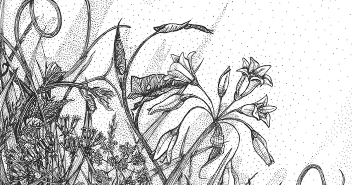 ' Vitamin N ' Or How I Reconnected With Nature By Illustrating London's Hidden Flora