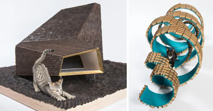 Architects Create Amazing Homes For Cats To Help Homeless Felines