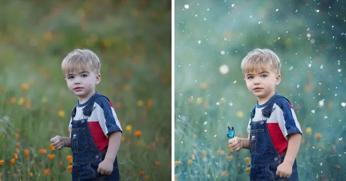 Photographer Uses Butterflies To Create A New Mini Photo Series Out Of Old "Unusable" Images