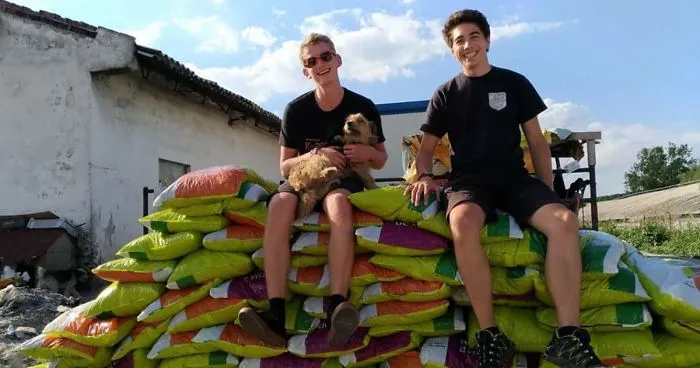 Helping 850 Dogs Is Not Easy At All...but It Makes Me Happy