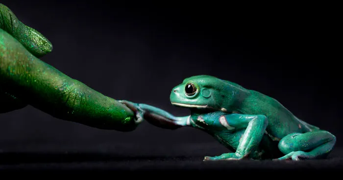 Why Conservation Photography Matters