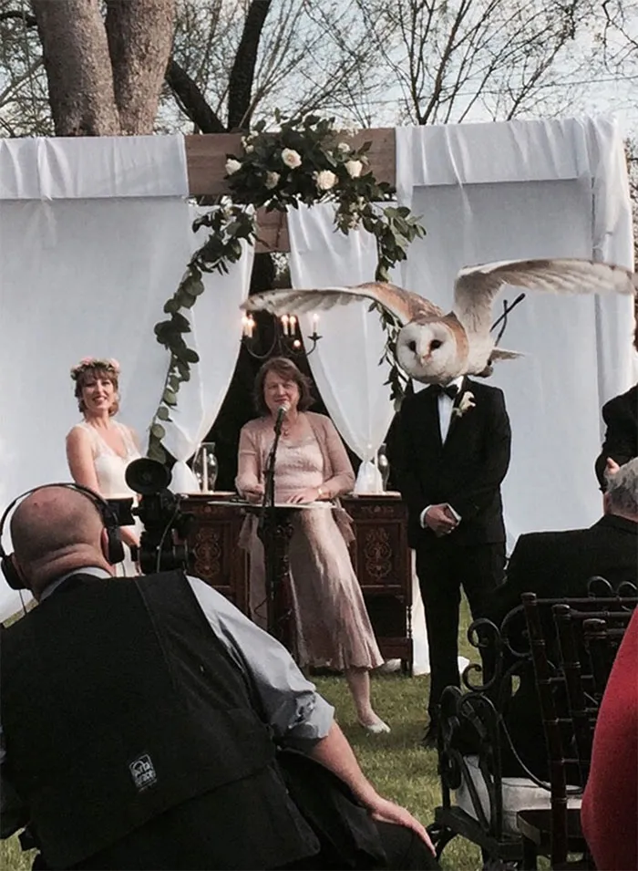 "Owl Always Love You"
