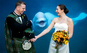 58 Times Wedding Photos Were Photobombed So Well It Made Newlyweds Die Of Laughter When They Saw The Photos