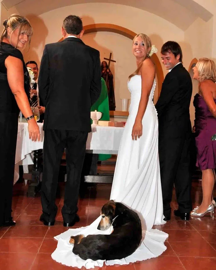 "He's Old, He Can Lay Anywhere He Wants"
