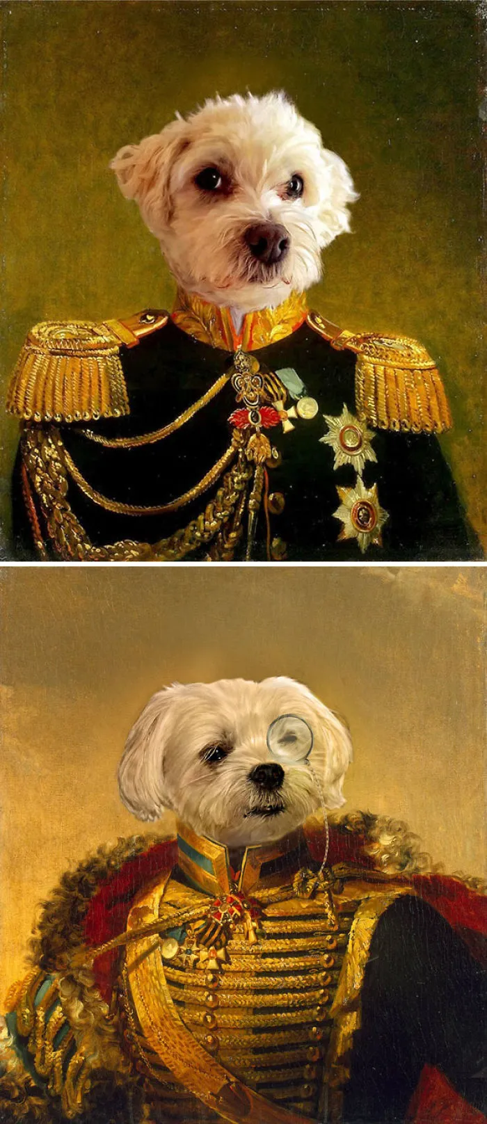 Girlfriend Said To Print Off A Nice Picture Of Our Dog And A "Normal" Picture Of Her Friend's Dog And It Better Not Be Photoshopped. So I Made These