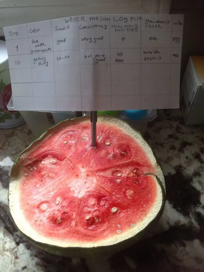 1 I Asked My Husband To Clean Up The Kitchen From Old Fruit And Vegetables