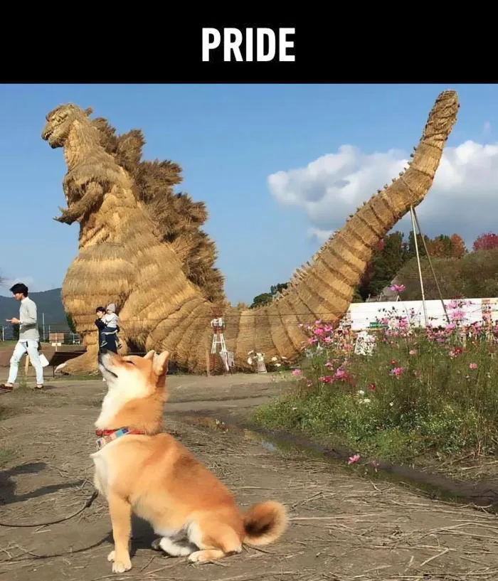 Is Your Dog A Good Boy? 7 Doggo Sins That Your Dog Is Probably Guilty Of