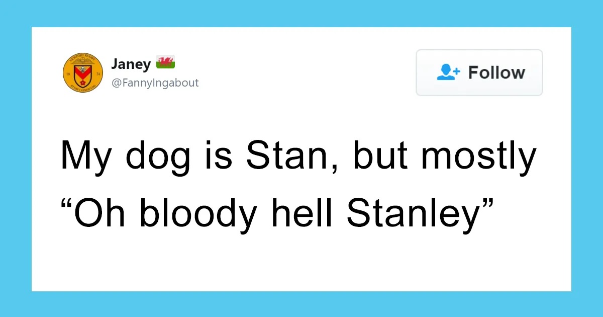 People Are Sharing The Names They Now Call Their Pets Instead Of The Original One, And It's Hilarious