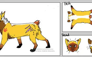 My Own Warrior Cat