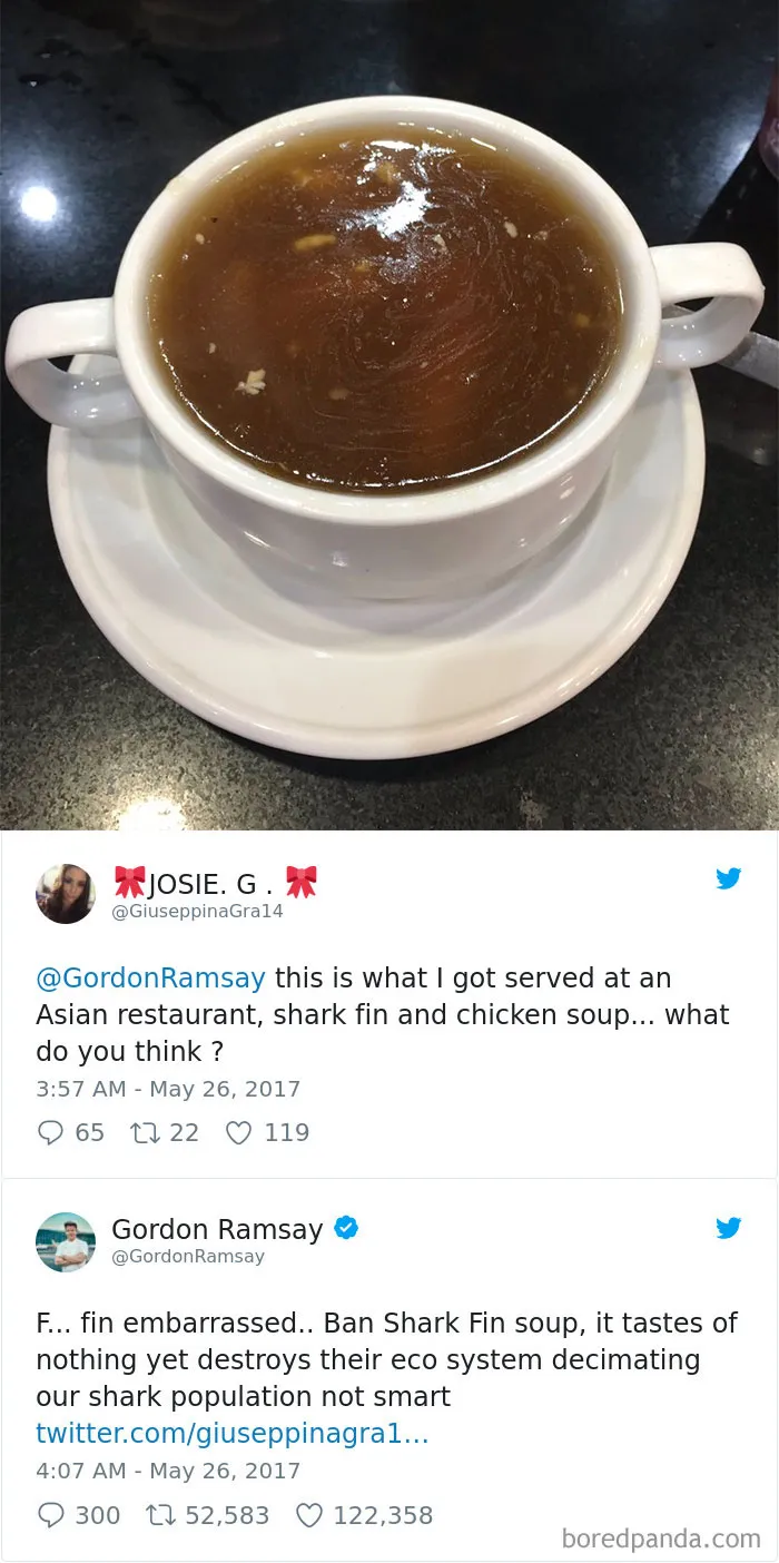 Rate This Shark Fin Soup