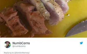 49 Times Amateur Chefs Showed Gordon Ramsay Their Kitchen Marvels, And Instantly Regretted It