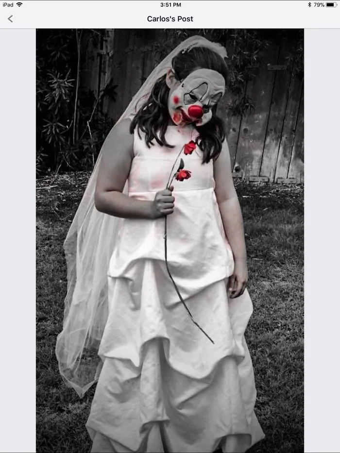 My Granddaughter Wanted To Be Clown Bride