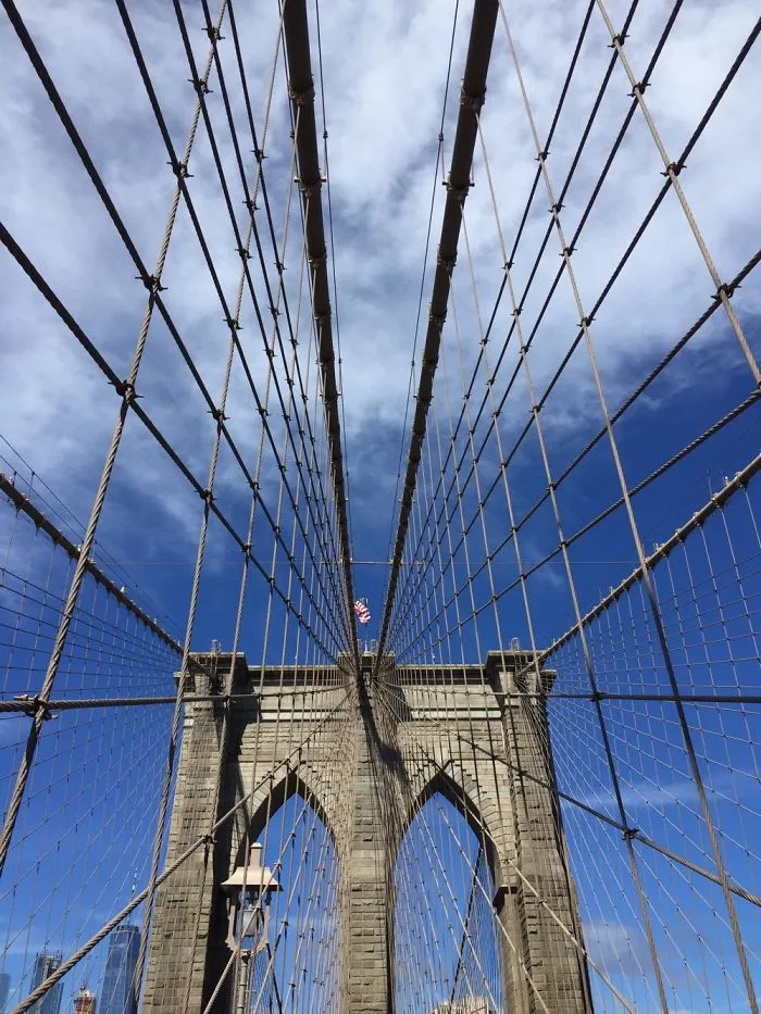 Looking Up
