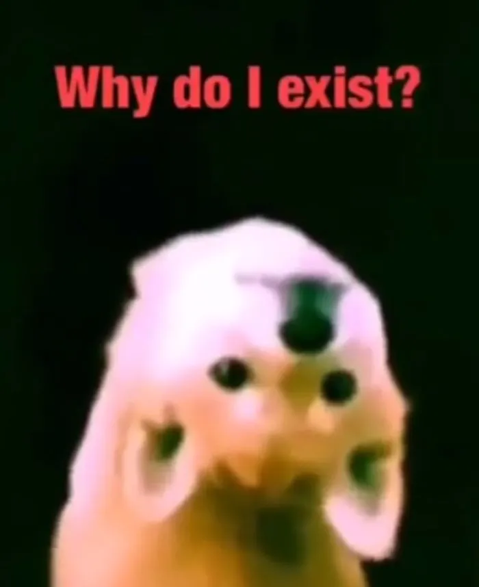 5 Funny Memes