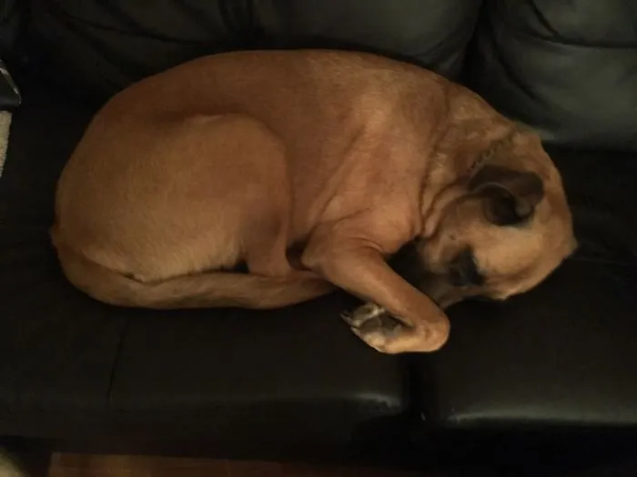 Precious
