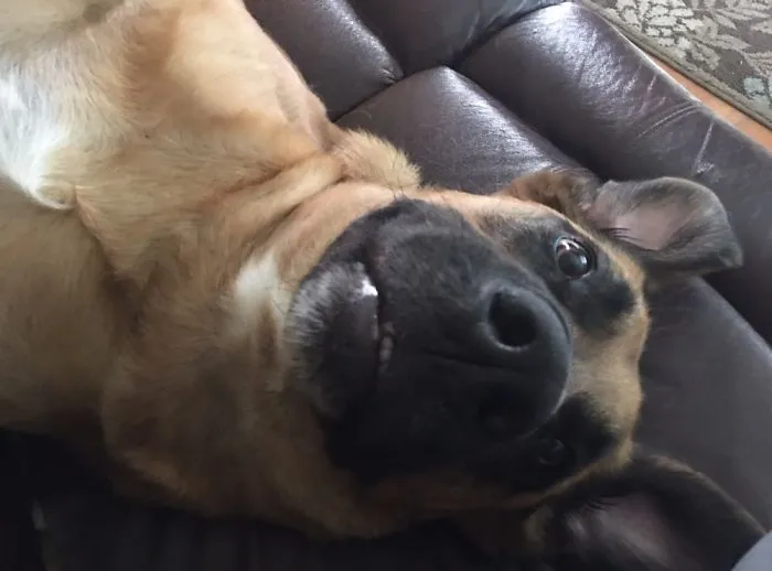 Selfie