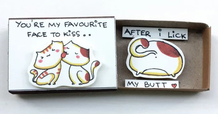 20 Purrrfect Surprise Messages Hidden In Matchboxes That Will Make Every Cat Lover Happy