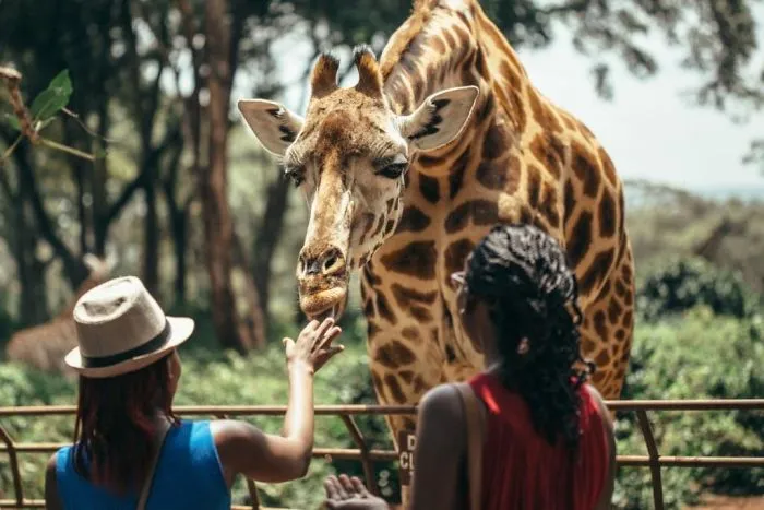 A Short Guide To Nairobi National Park