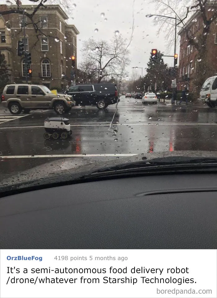 Saw This Guy Crossing The Street In Dc. What Is It?