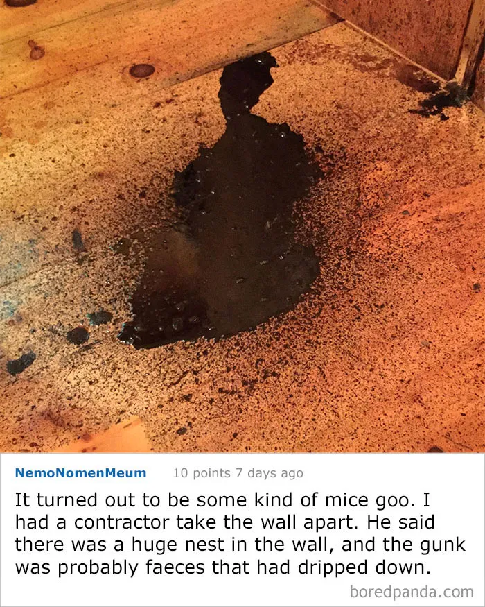 Is This The Beginning Of A Stephen King Novel? This Mystery Blob Just Appeared In My Remote Maine Cabin. There Are Also Signs Someone Has Been In Here Since I've Been Away. What Is This?