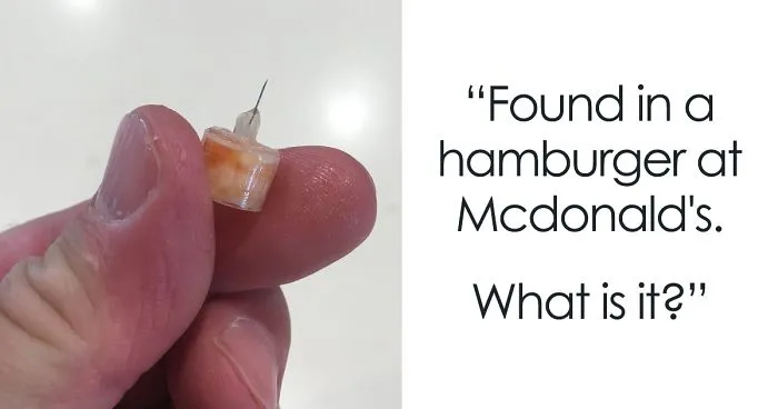 57 Times People Had No Idea What They Were Looking At, But The Internet Knew What It Was Right Away