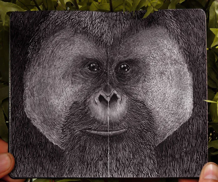 Orang-Utan