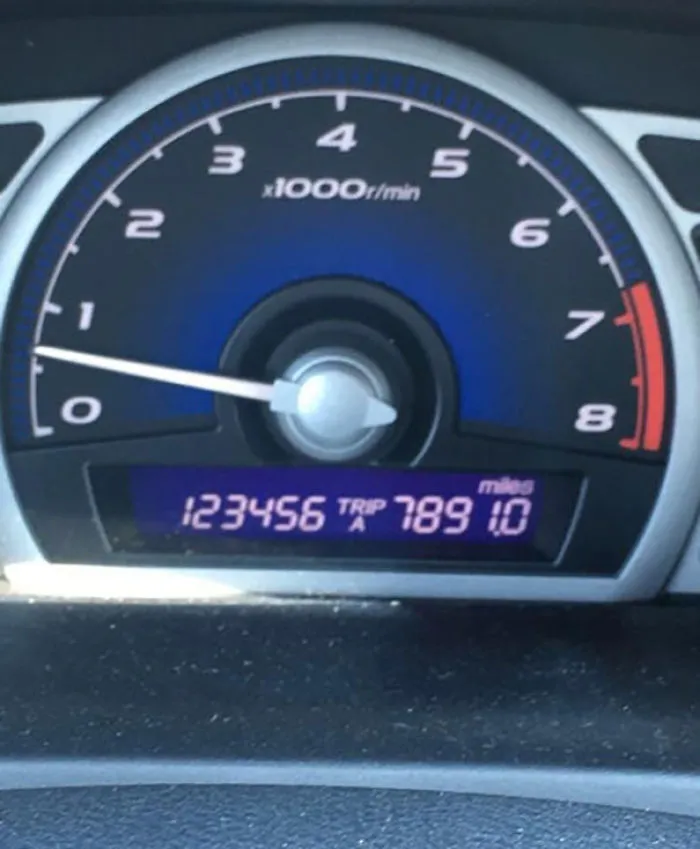 The Perfect Timing Of This Odometer And Trip Meter