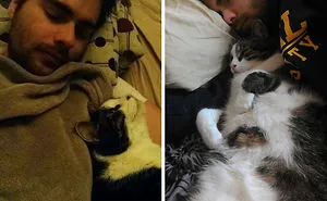 30 Shameless Pets That Stole Owner's Partner And Didn't Even Feel Sorry