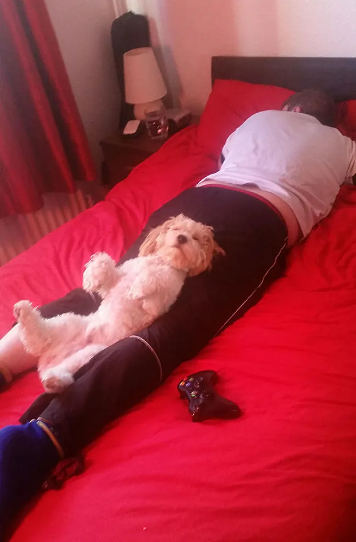 Mi novio y mi perro echándose la siesta así