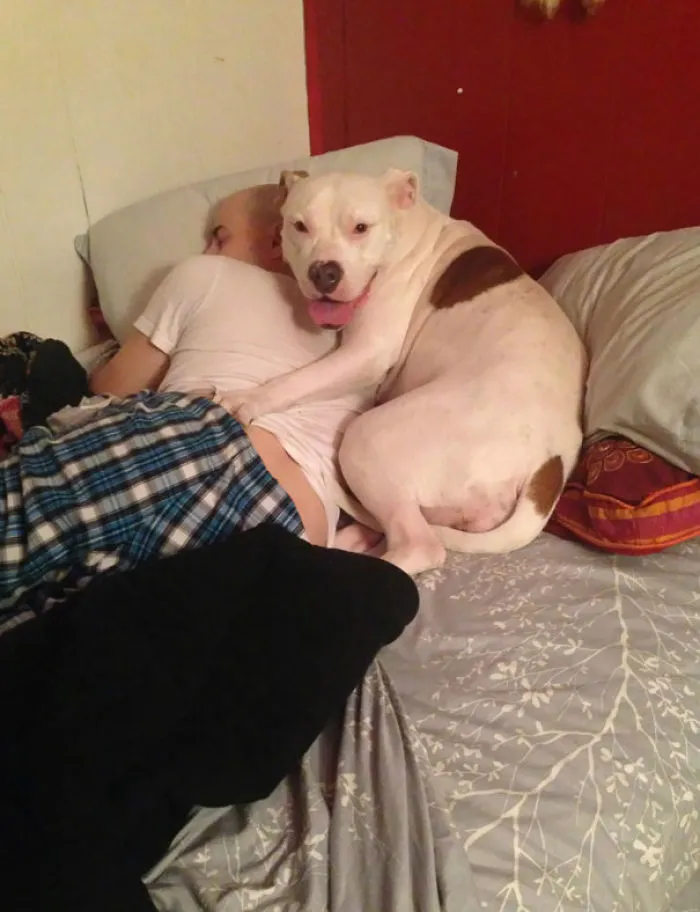 El perro de mi novia está enamorado de mi