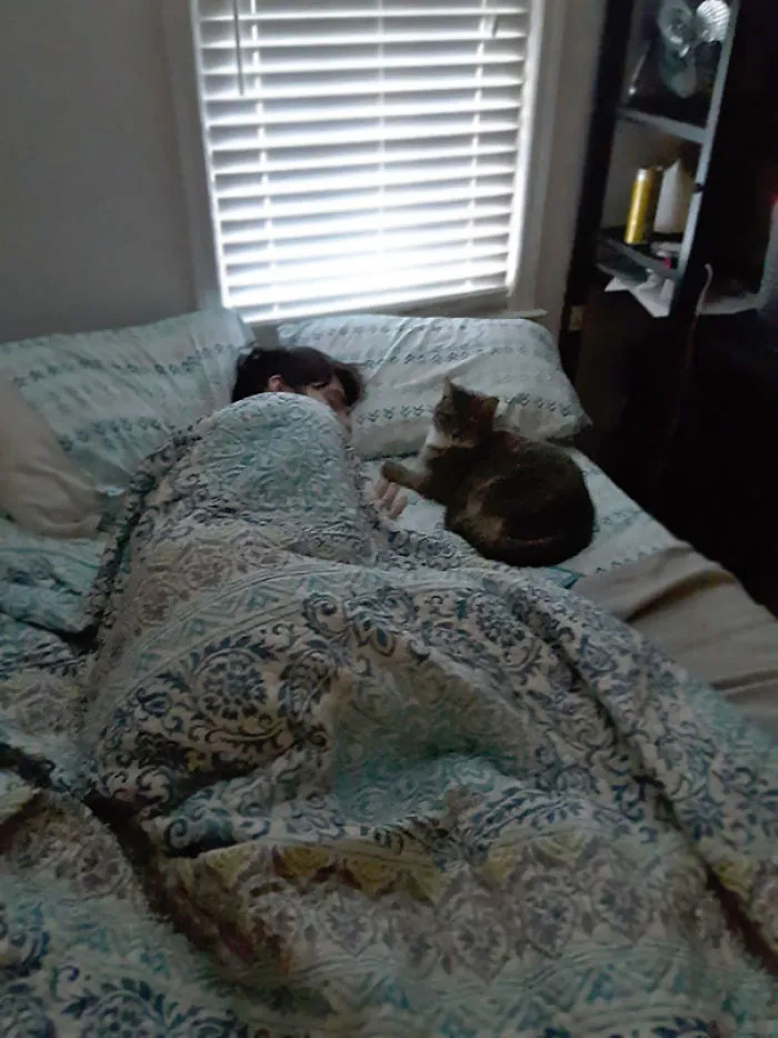 Mi novio y mi gato dándose la mano