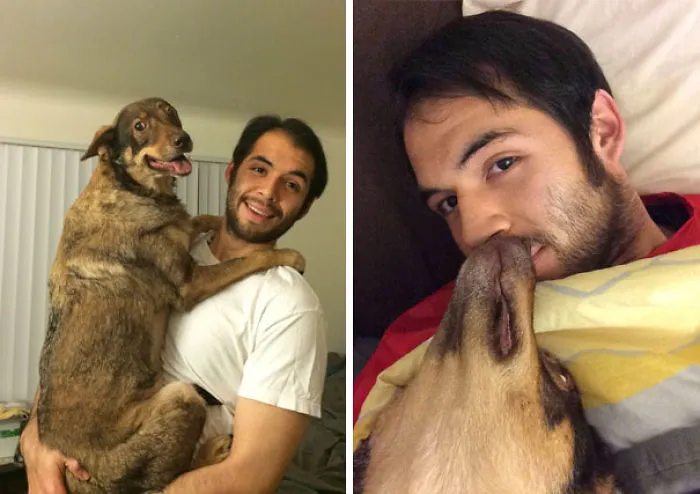 El perro quiere a mi novio más que a mi