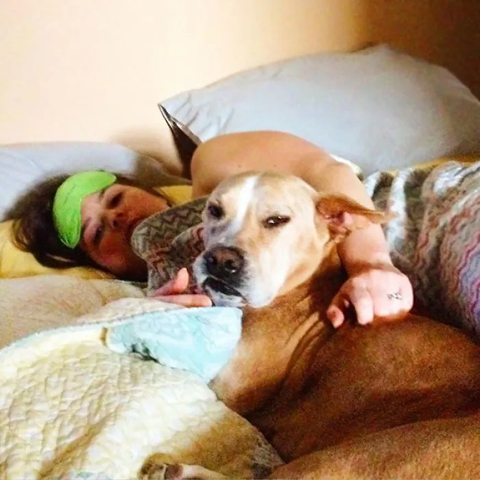 Así me mira mi perro cuando está en la cama con mi esposa. Siempre