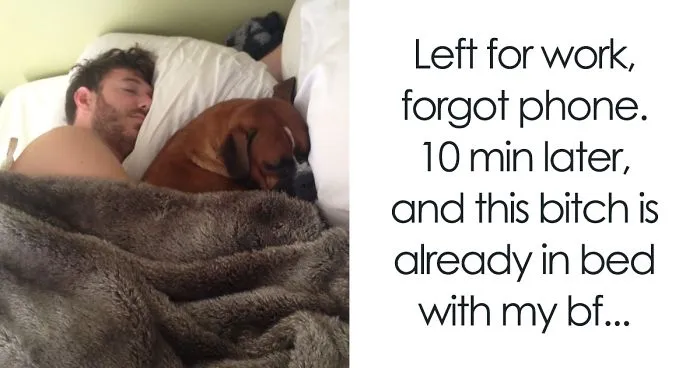 30 Shameless Pets That Stole Owner's Partner And Didn't Even Feel Sorry