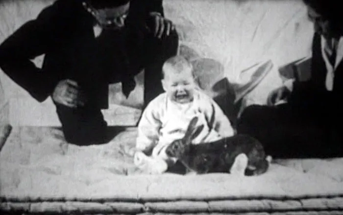 Little Albert Experiment