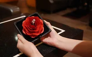 "Grace" Ring Case : The Most Romantic Way To Propose