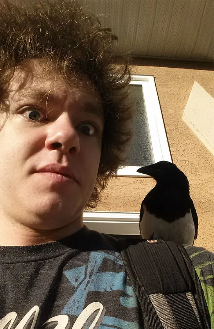 Ha venido una urraca a posarse en mi hombro