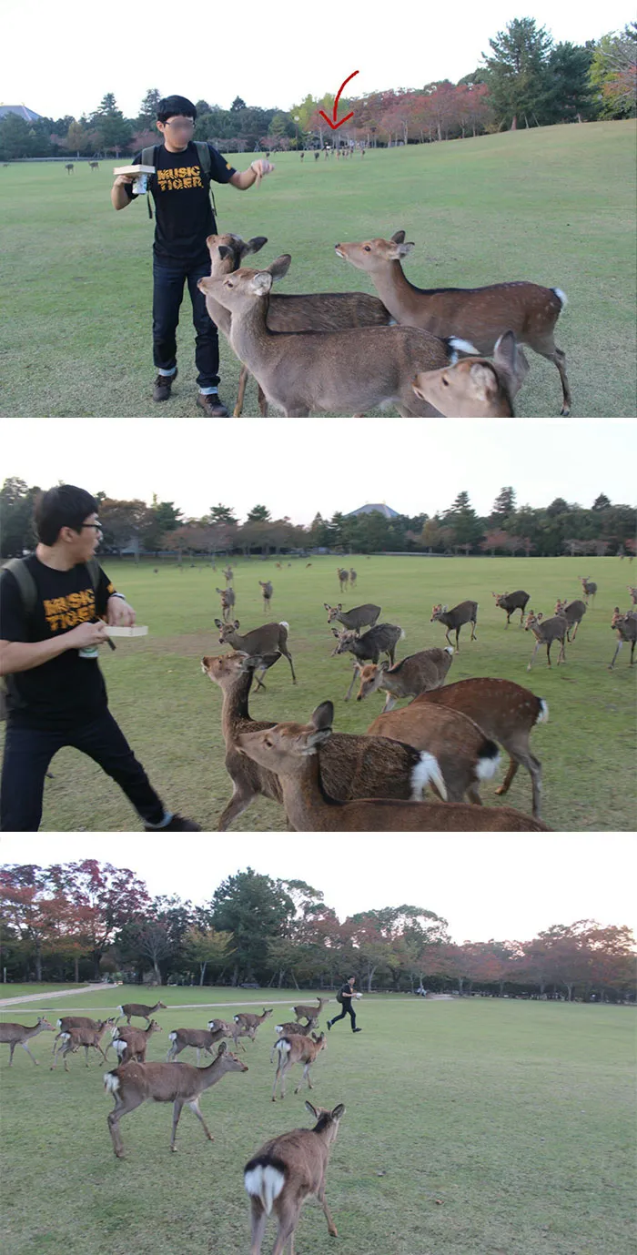 ¡Socorro!