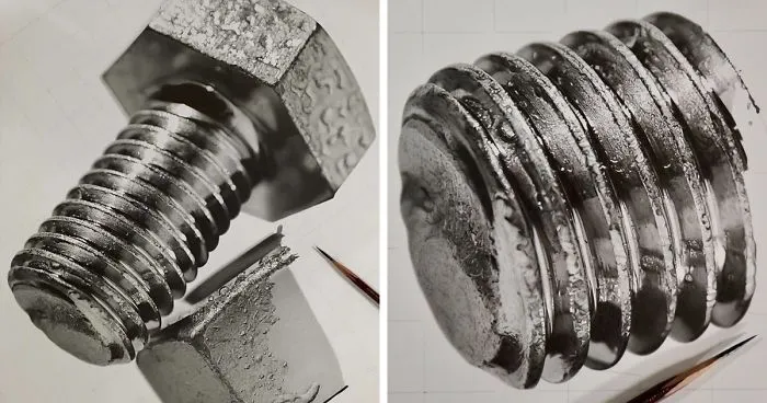 This Japanese Artist's Pencil Drawings Are So Realistic, People Can't Believe They're Not Photographs