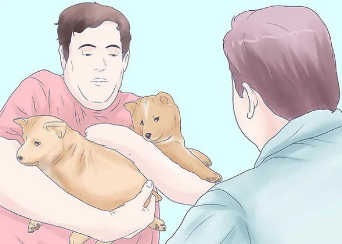 Fill Your Arms With Puppies So No One Can Ask You For Help
