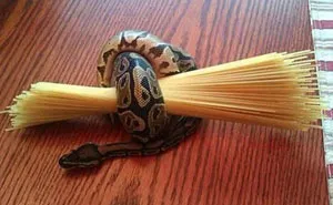 The Shittiest Life Hacks Ever That Will Have You Laughing Out Loud