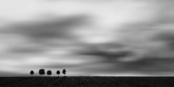 Artist Spots Patterns And Shapes In Everyday Life, Creates Beautiful Minimal Photos