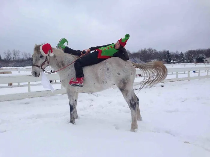 My Christmas Card