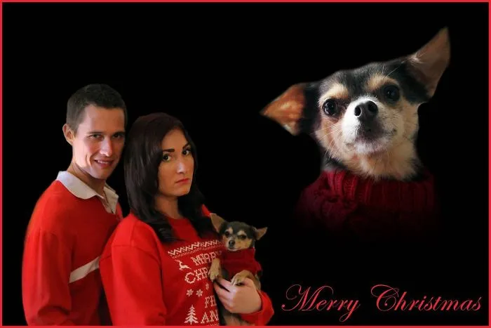 I Did My First Ever Christmas Card With My Girlfriend And It Could Label Me As A Sex Offender