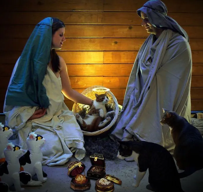 My Cousin And Her Boyfriend Get Very Creative With Their Christmas Cards