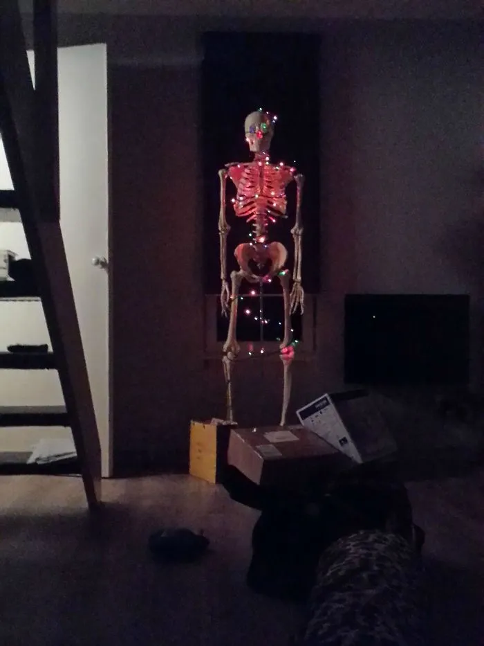 Too Lazy To Get A Christmas Tree This Year