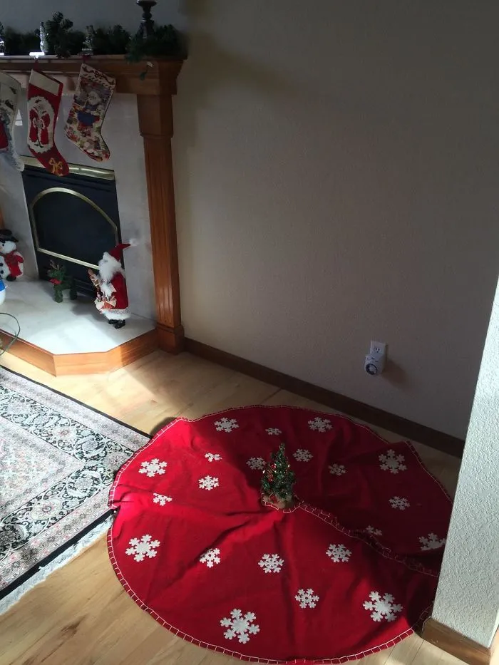 My Girlfriend Finished Putting Up Her Christmas Tree