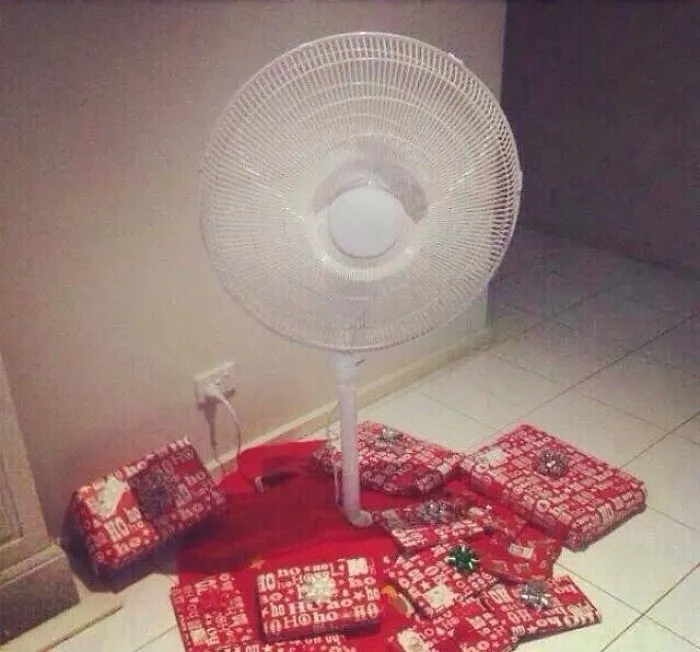 Australian Christmas Tree